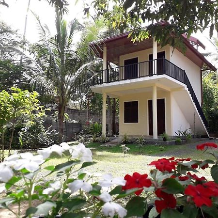 Hotel Blue Point Rest Tangalle Exteriér fotografie