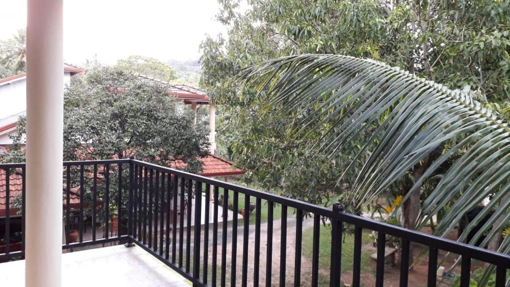 Hotel Blue Point Rest Tangalle Exteriér fotografie